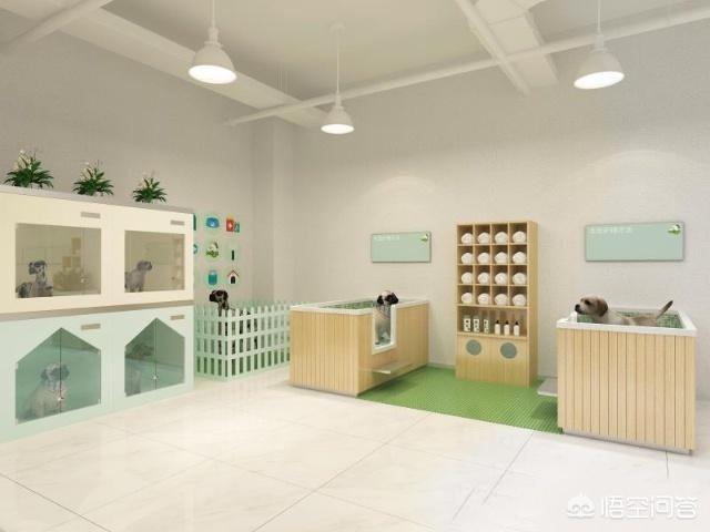 宠物美容师工资:学宠物美容怎么样？有前景吗？