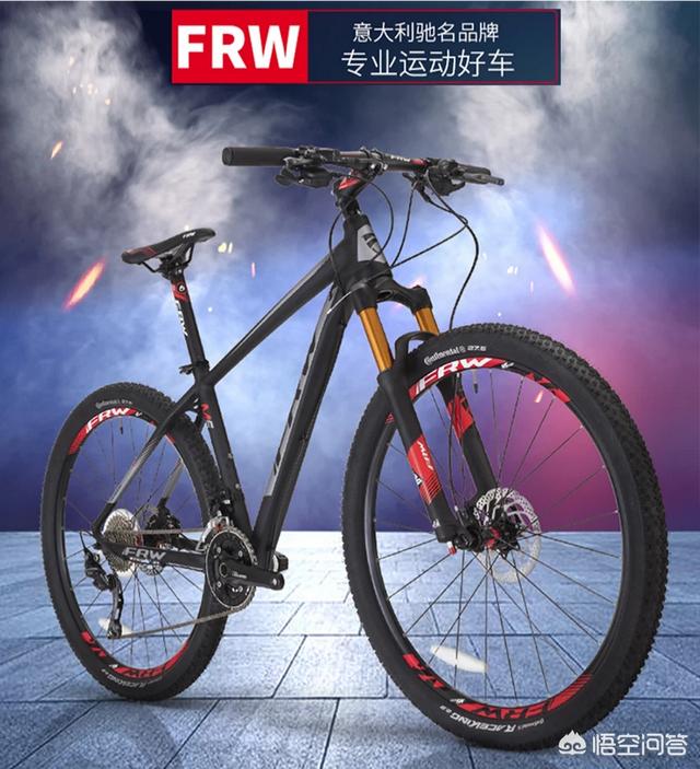 哪款国产自行车好？