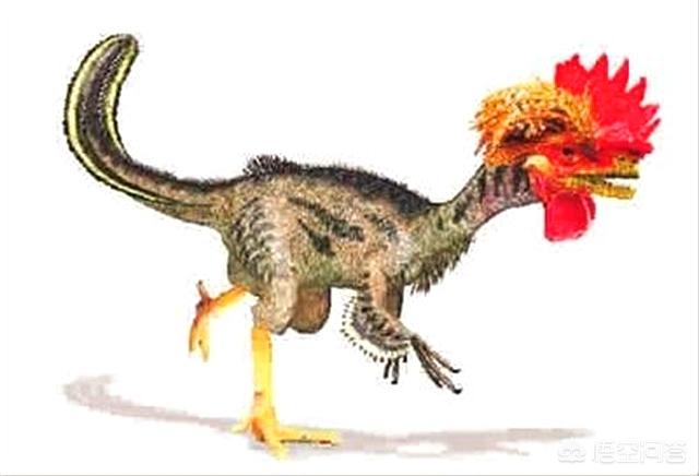 恐龙的消失之谜，当年的恐龙灭绝是不是被细菌或者病毒感染而死