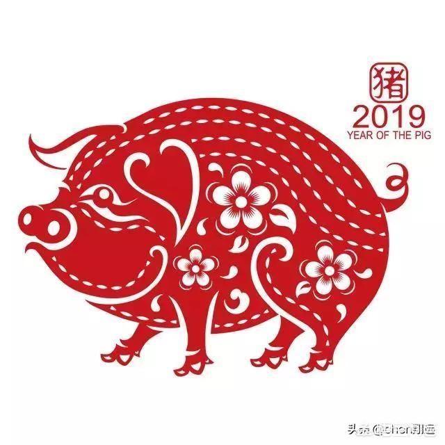 变生肖是从春节开始吗？