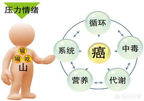 容易得癌症的坟地,如果知道自己患癌了，你会怎么做？