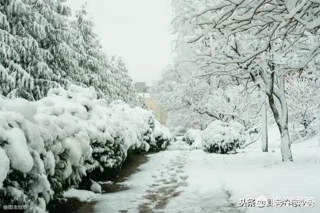 和雪有关的成语有多少？