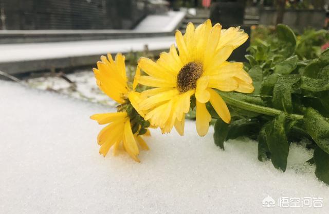 自己生病或亲人生病各种拍照发朋友圈的人是什么心态？
