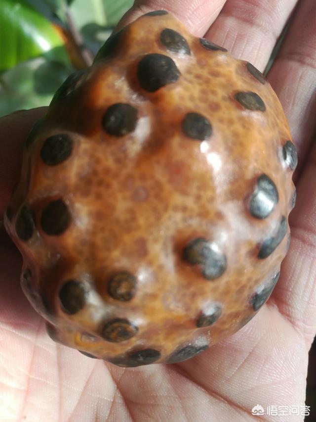 玉文化的传承意义,传家宝为什么多为玉器？原因是什么？