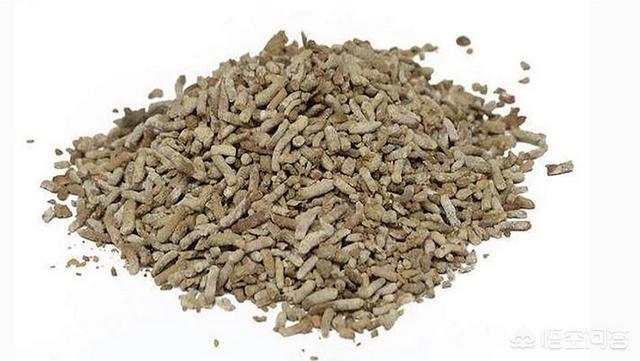唐菖蒲药用内服:唐菖蒲有药用价值吗 麻雀屎可以治疗什么疾病？具体怎样使用？