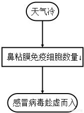 宠物服装冬装:冬天养狗的需要注意什么？