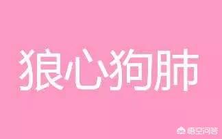 狗肺狼心的故事:农村老话“狼心狗肺”是啥意思？狼的心和狗的肺有啥与众不同？