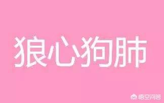 狗肺狼心是那一个生肖:农村老话“狼心狗肺”是啥意思？狼的心和狗的肺有啥与众不同？