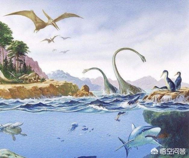 恐龙都比如今的大象的个头还要大,特别是蜥脚目中的梁龙类和泰坦龙类