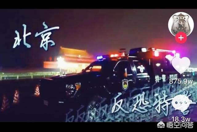 济南哪里有卖多彩鹦鹉的:春节放假期间，从石家庄去哪玩比较好，有推荐的吗？