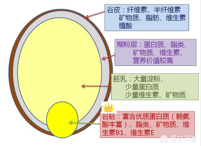 听说吃糙米可以减肥,是真的吗？应该怎么吃呢？