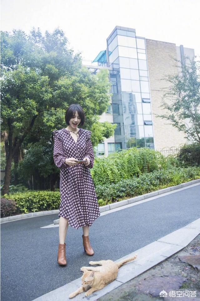 曝高圆圆怀孕:有传闻说高圆圆因为怀孕了才缺席贾静雯婚礼，你怎么看
