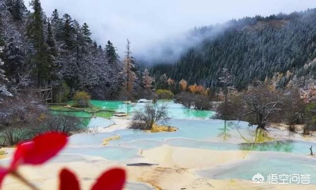 四川发现一条幼龙图片，黄龙风景名胜区有哪些值得游玩的景点