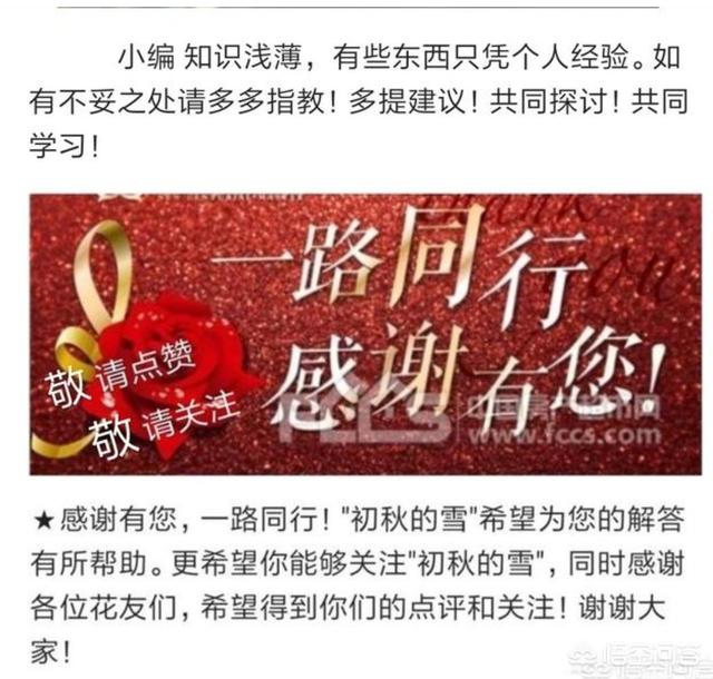 米兰花图片:盆栽兰花如何防治介壳虫？