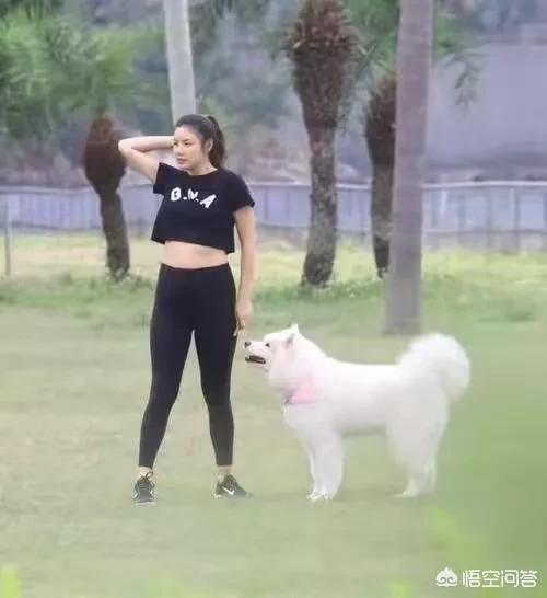 黎明老婆乐基儿:乐基儿宣布再婚嫁富豪，为什么黎明HOLD不住前妻？