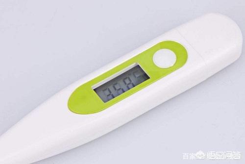 牛头梗论坛那:牛头梗喂什么能增加食欲？