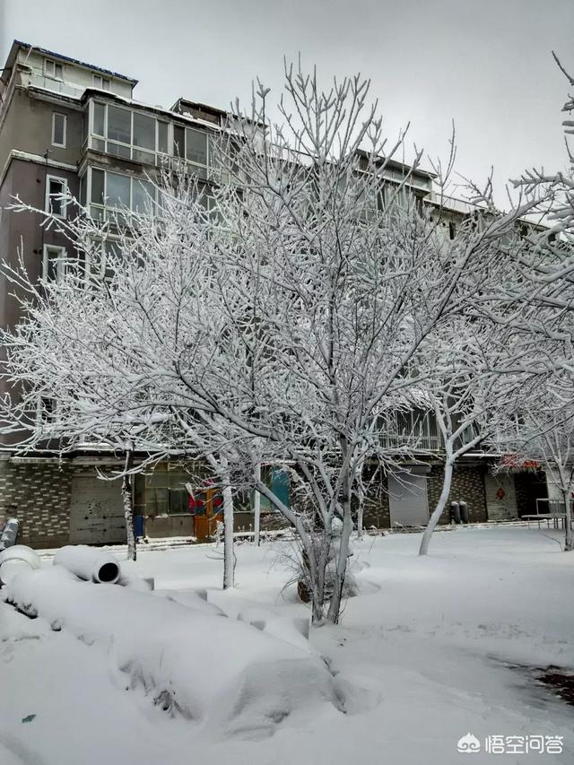 冬天很冷,为什么很多人却盼望下雪？