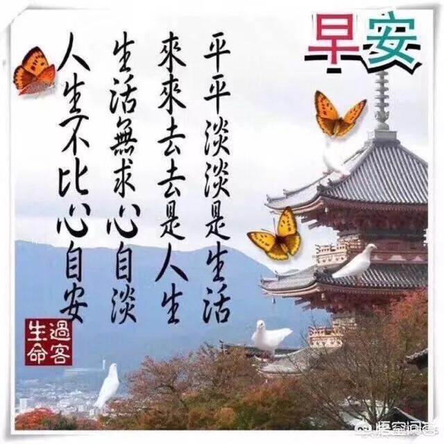 夫妻之间相敬如宾,在生活中真有存在吗？