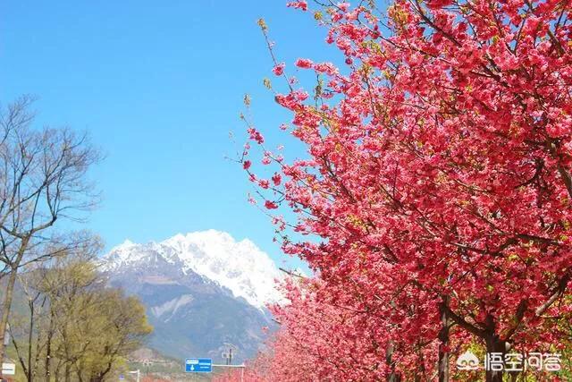 过年去哪里旅游比较好;过年时候去哪里旅游最好