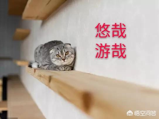 换个网名换个心情的微信名字:有些人频繁换头像、换网名是什么心理？