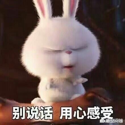 好项目如何众筹？