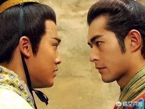 元华电视剧:急~~“元华”拍过的一部电视？