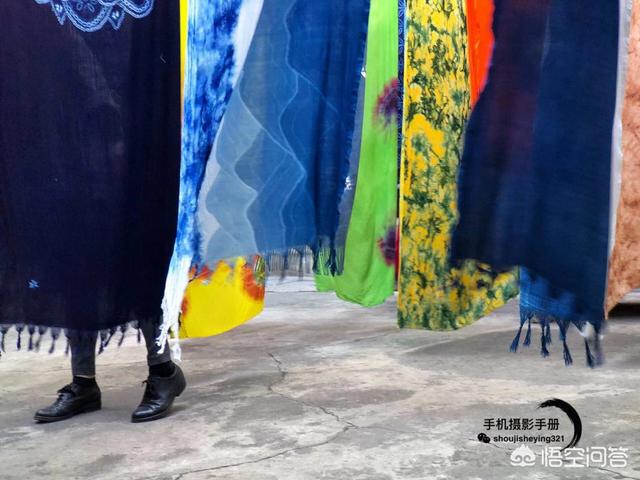 藏獒世家4k版在线观看:拍照手机配上外接镜头，效果能赶得上入门单反吗？