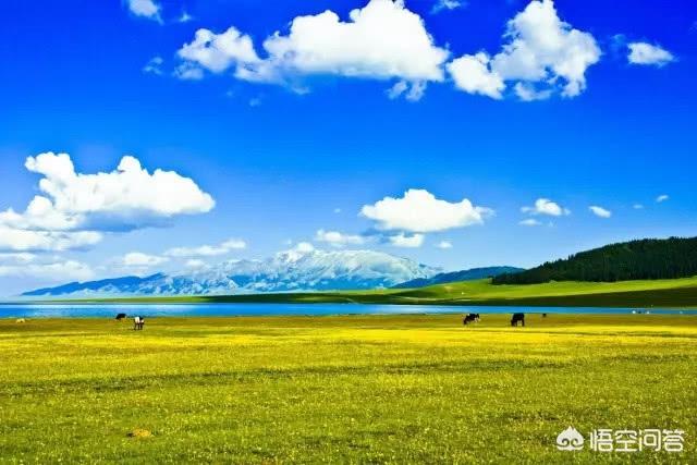 湖北搞什么家庭养殖业比较赚钱:在湖北襄阳能做什么小型养殖项目？