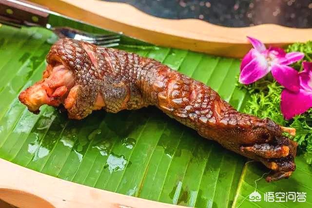 一个人被龙吃了还能活着吗，从生物学的角度来讲，远古时代的恐龙肉能不能供人类食用