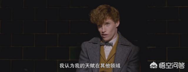 格林德沃和伏地魔:纽特·斯卡曼德为什么没有加入凤凰社并参与和伏地魔的战争