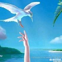 朋友心情不好,怎么安慰？