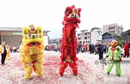 山西2019稷山春节斗狗大赛:春节马上到了，除了烟花鞭炮以外，如何提升年味？