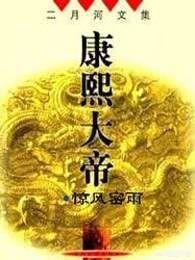 了解清史应该看什么书？