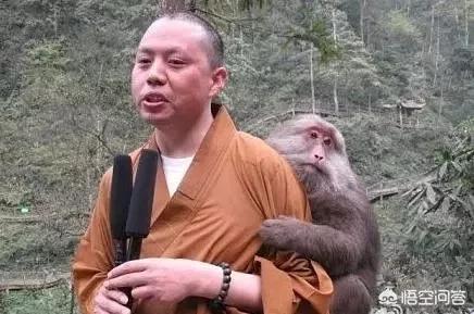 延森法师:延参法师对南宁印象如何？