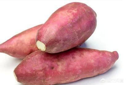 土豆营养价值有多高，番薯、红薯、紫薯、马铃薯和地瓜的区别是什么，哪个营养价值最高