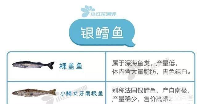 头条问答 法国银鳕鱼为什么可以做宝宝辅食 8个回答