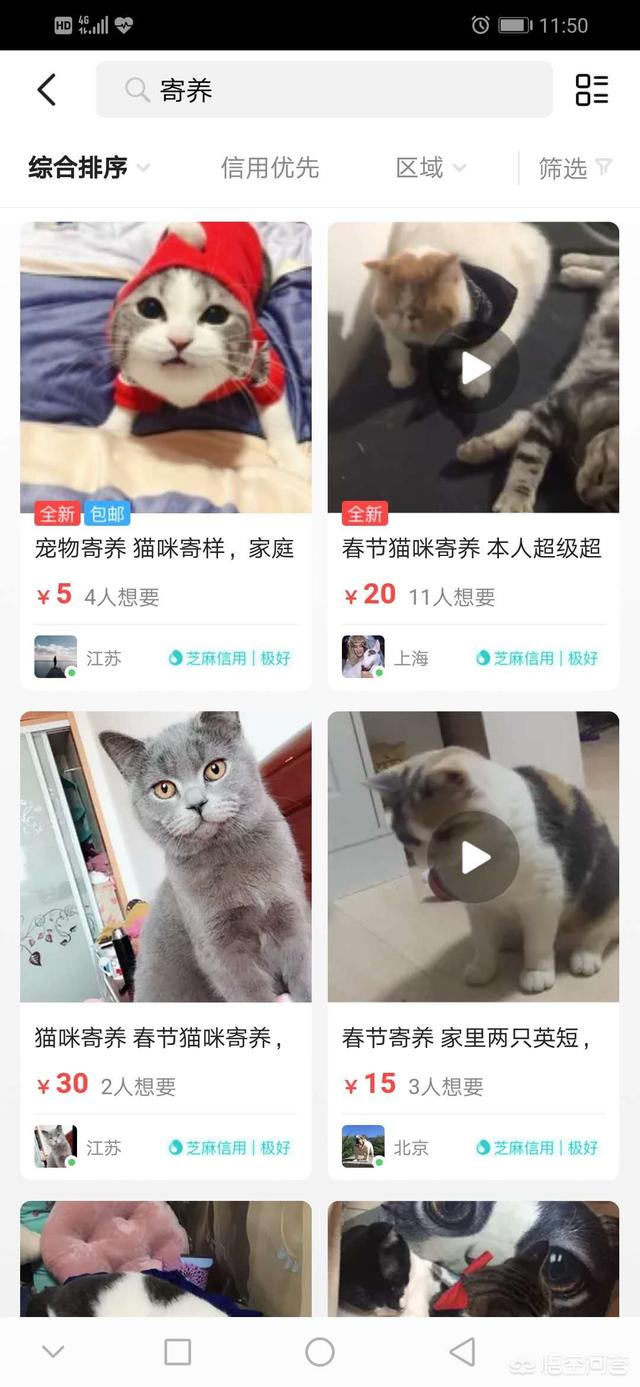 公猫为什么带小猫回家:家猫带外面猫回家是什么原因？