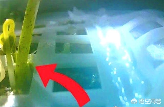 人类登月后留下的大量垃圾将何处何从？