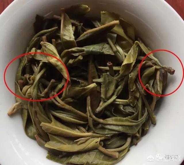 古树藤条茶是普洱茶么,普洱茶里出现“马蹄梗”就是古树春茶吗？