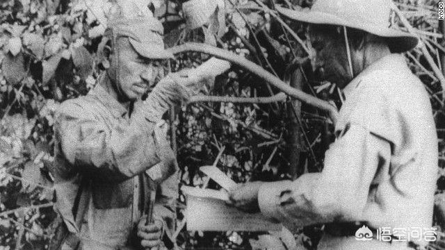 日本截尾猫会藏多久才出来:二战后，一名日本士兵为何独自躲在山洞里长达27年？ 日本截尾猫分布区域