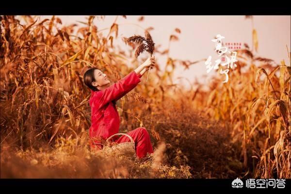 红高粱剧情:读莫言的《红高粱家族》如何理解余占鳌和九儿的爱恨情仇