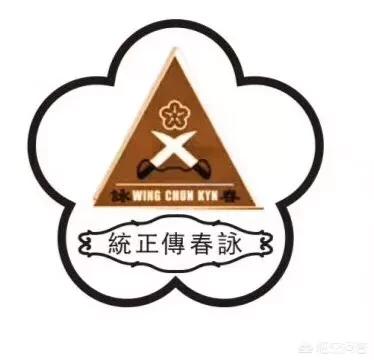 张天志:从师承和修为各个方面来说，张天志和叶问谁才是咏春正宗？