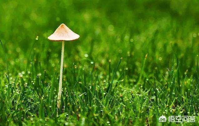 找湖北人做老公是什么体验？