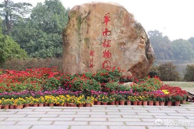 广州哪个公园有相亲角，在广东天河区，突然想到处走走，心情不好，有哪些地方值得推荐