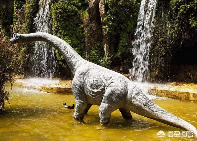 恐龙都比如今的大象的个头还要大,特别是蜥脚目中的梁龙类和泰坦龙类