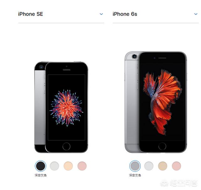 iPhone se和iPhone6s有何异同？