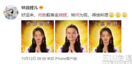 沈梦辰图片:沈梦辰被骗还有哪位明星也有被骗的经历