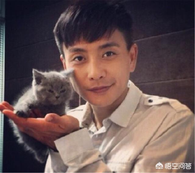 吴卓羲图片:娱乐圈的“渣前任”都有谁？