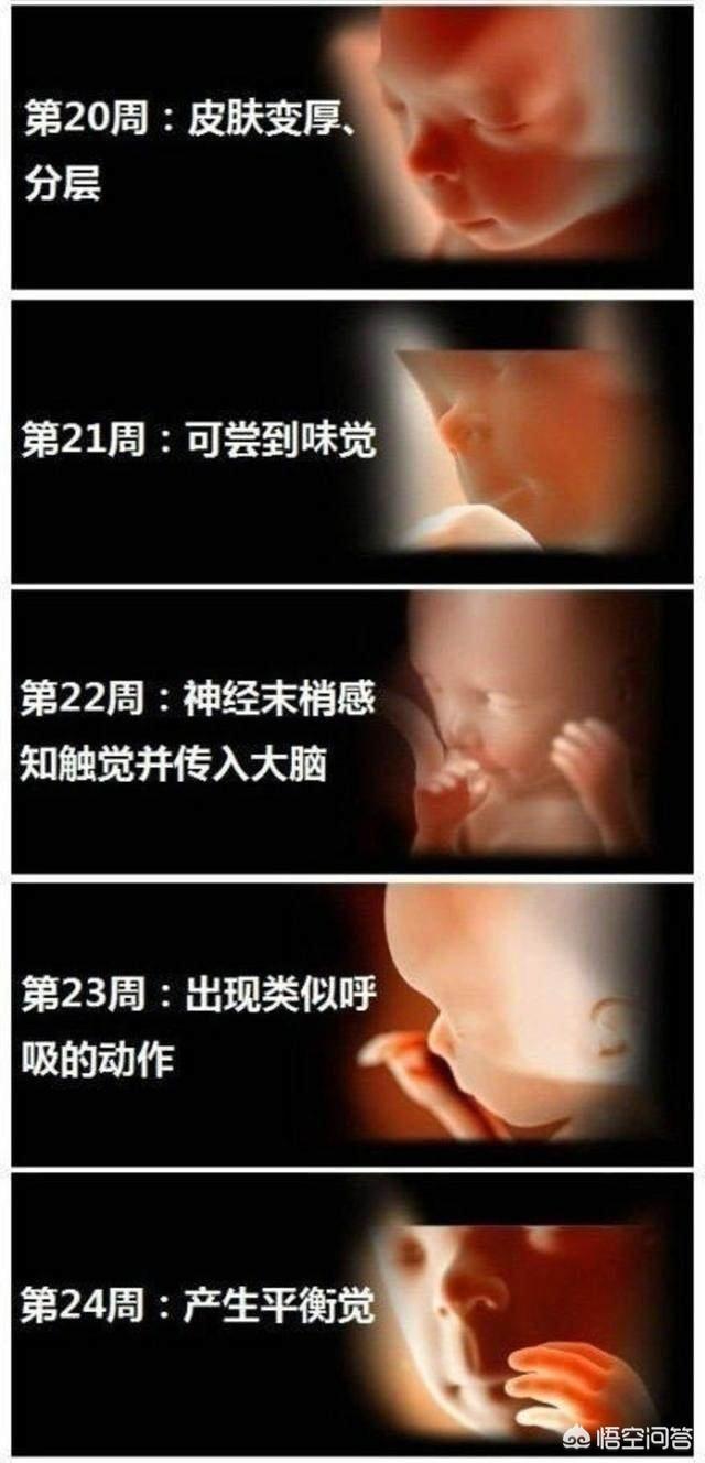 婴儿变化过程是什么样子的？