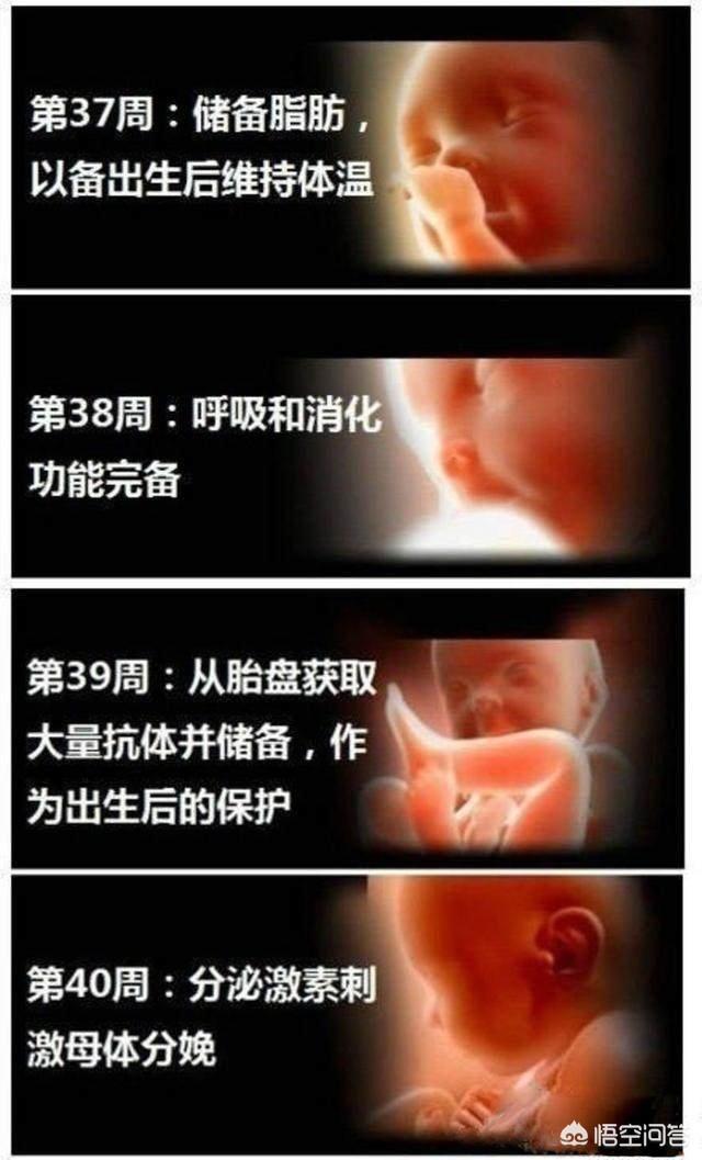 婴儿变化过程是什么样子的？